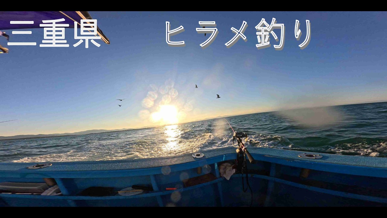 三重県　鳥羽　ヒラメ（イワシ泳がせ）
