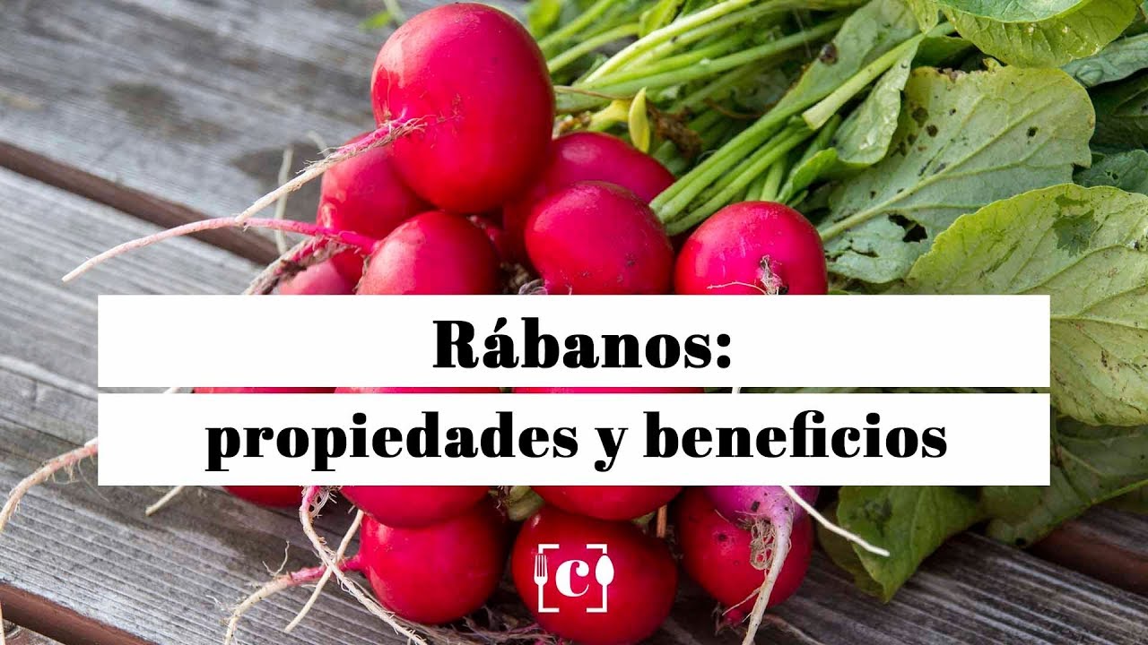 R&aacute;bano, sus propiedades, beneficios y valor nutricional