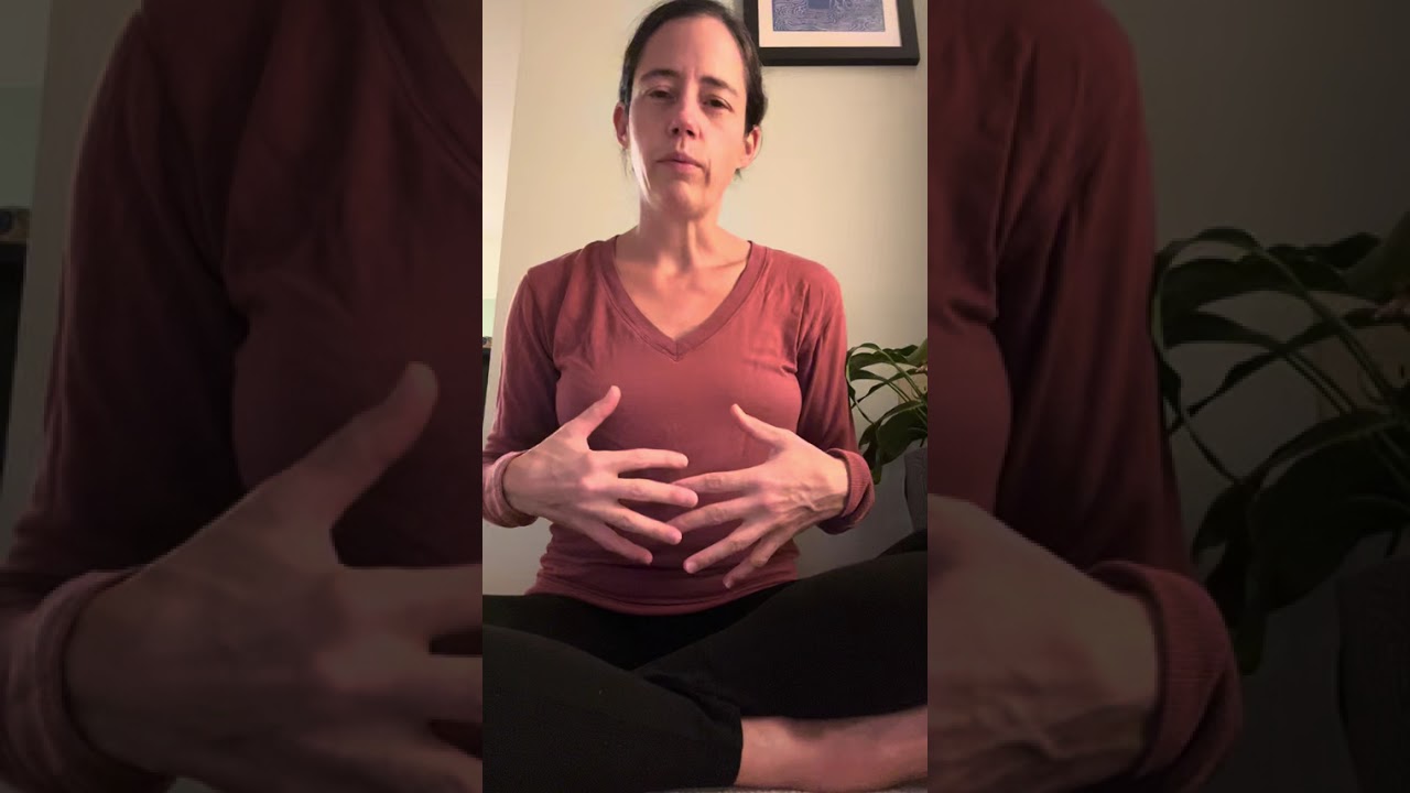 Reproductive System Clearing / Qi Gong for 