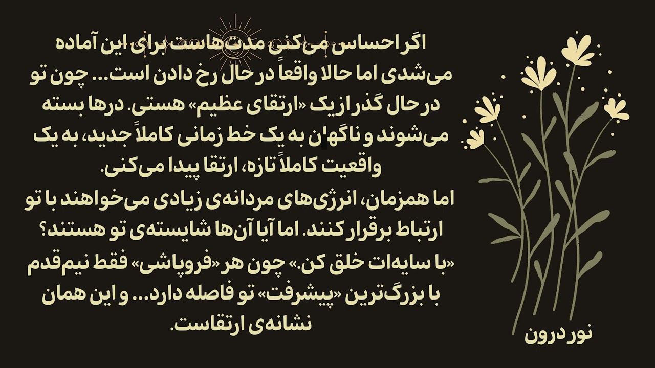 به نور تو جذب می‌شوند اما توان مقابله با آن را ندارند