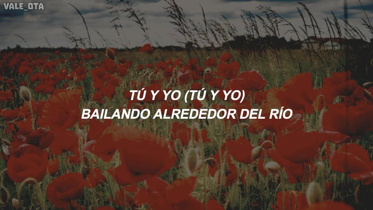 Leo Rizzi, Danny Ocean - Amapolas Remix | Letra