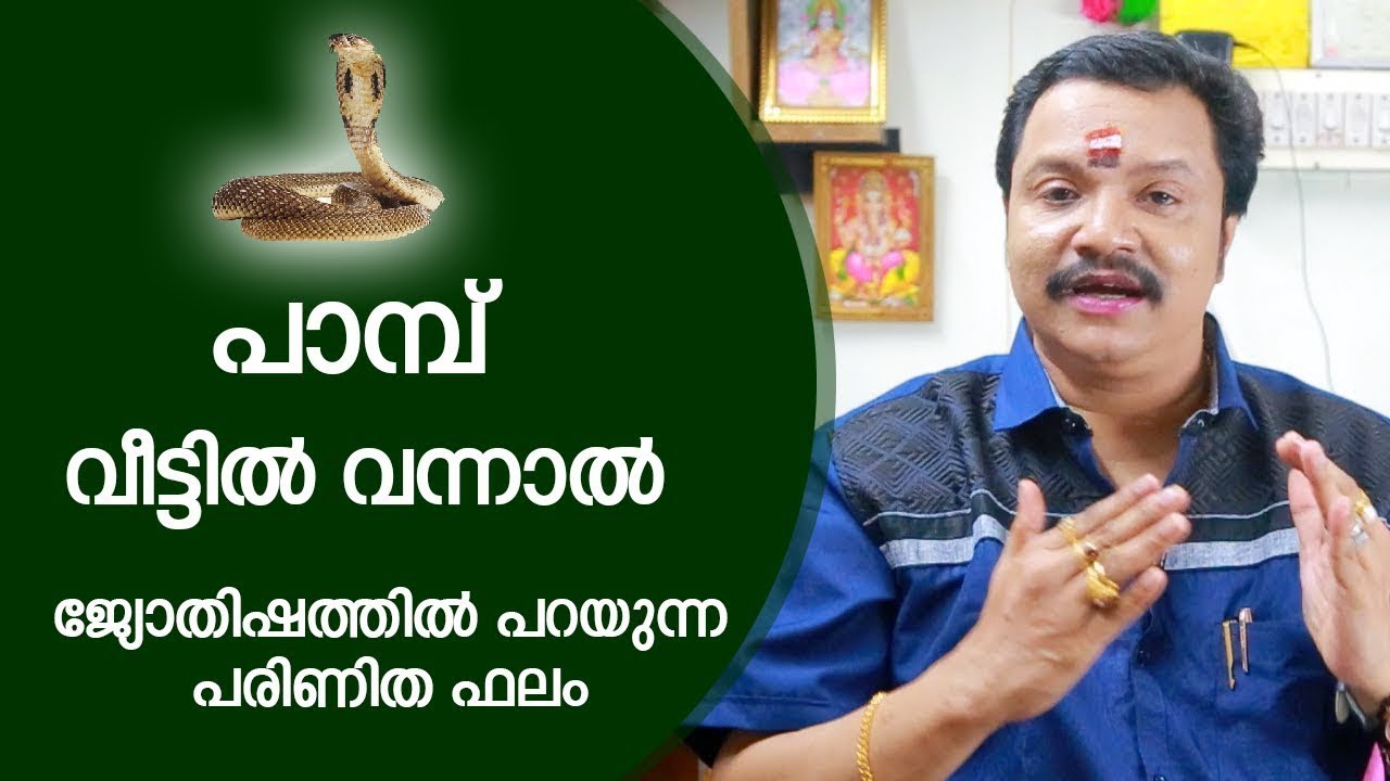 പാമ്പ് വീട്ടിൽ  ജ്യോതിഷത്തിൽ പറയുന്ന ഫലം   Malayalam Astrology