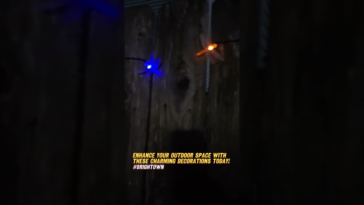 Solar Powered Dragonfly lights