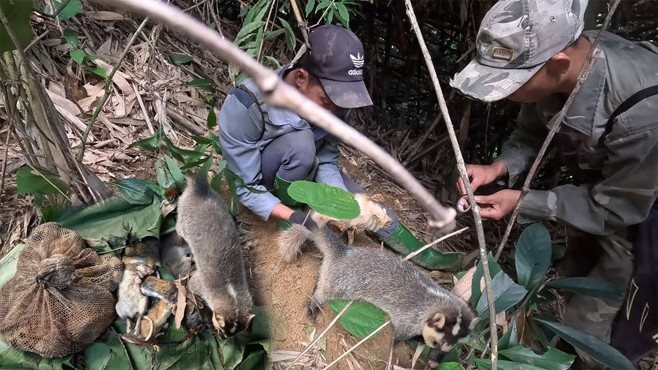 Bẫy rừng phát huy sức mạnh – thu hoạch lớn trong Hai đêm!survive in the rain forest.@samsysot