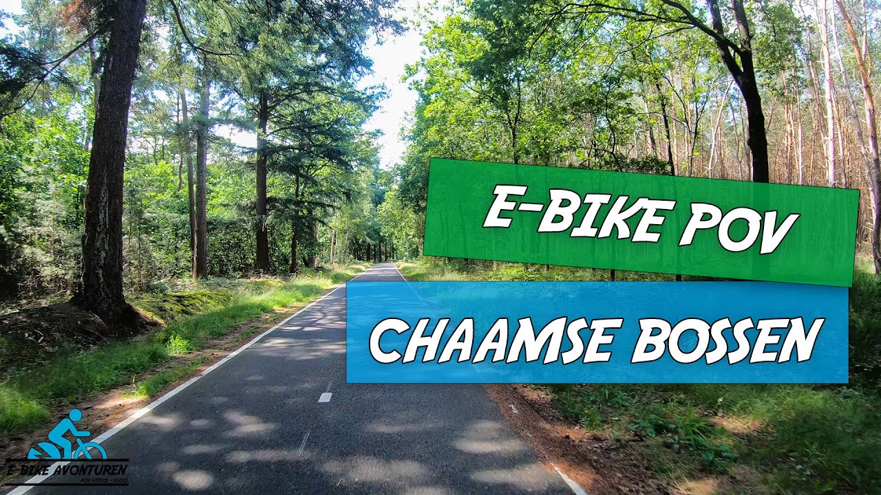E-BIKE POV Chaam - Chaamse Bossen (NB) - Mooie fietspaden door het bos🌳! - E-bike Avonturen