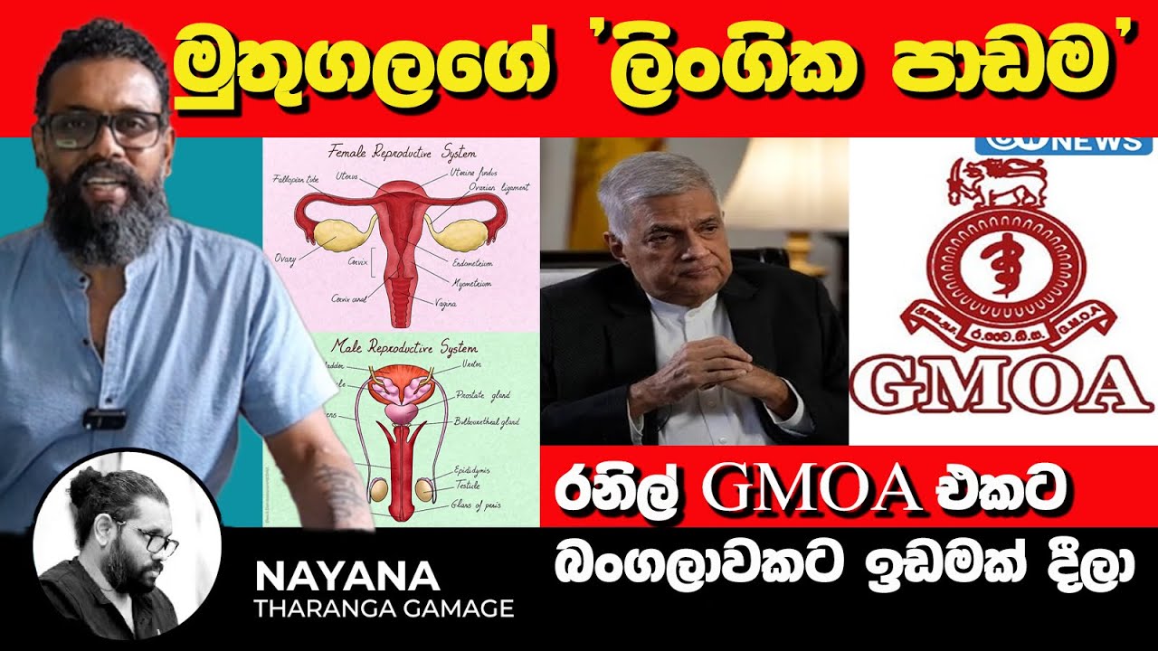 මුතුගලගේ 'ලිංගික පාඩම' | Political Gossip ‍| Nayana Tharanga Gamage