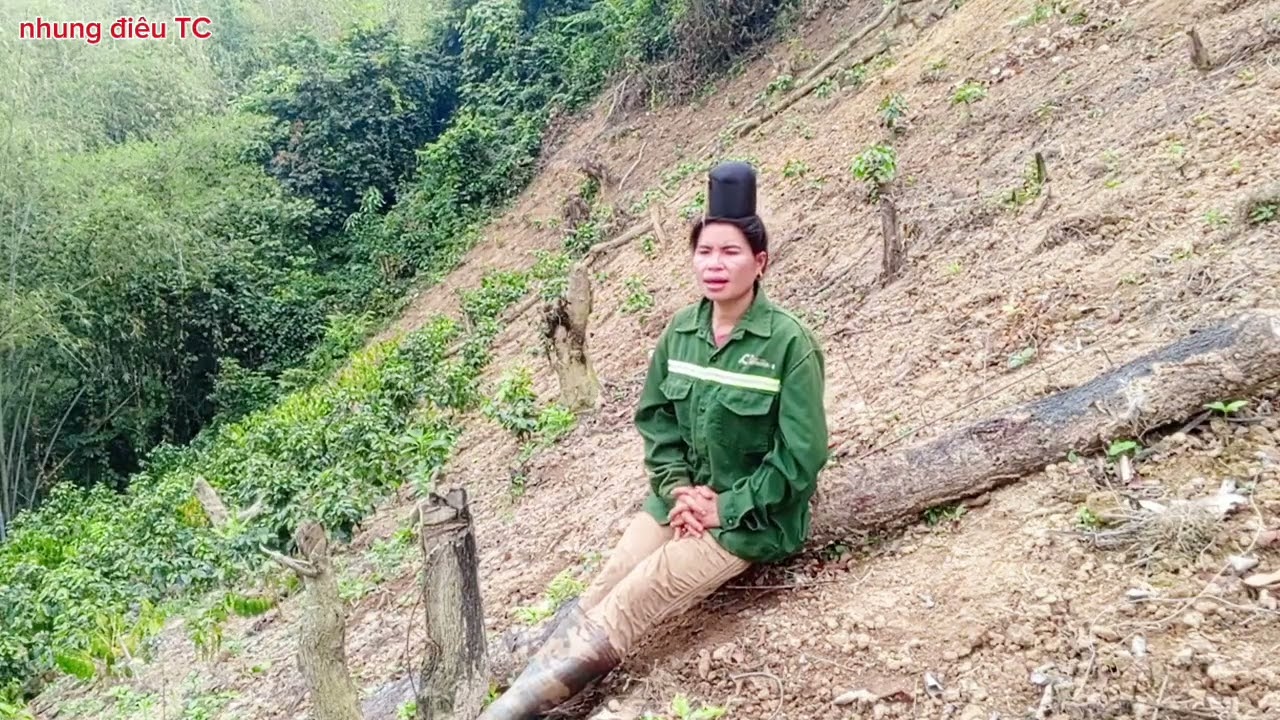lò điêu hát Theo yêu cầu po lu phau ceng mẹ gia 
