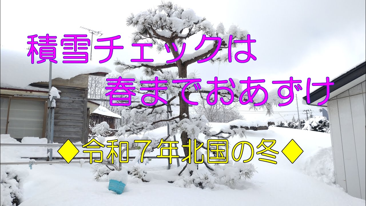 積雪チェックは春までおあずけ：令和７年北国の冬