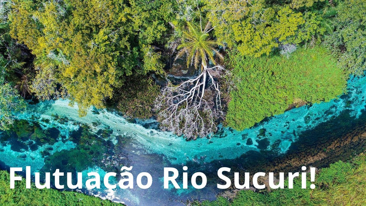 Flutuação Rio Sucuri - Bonito - MS