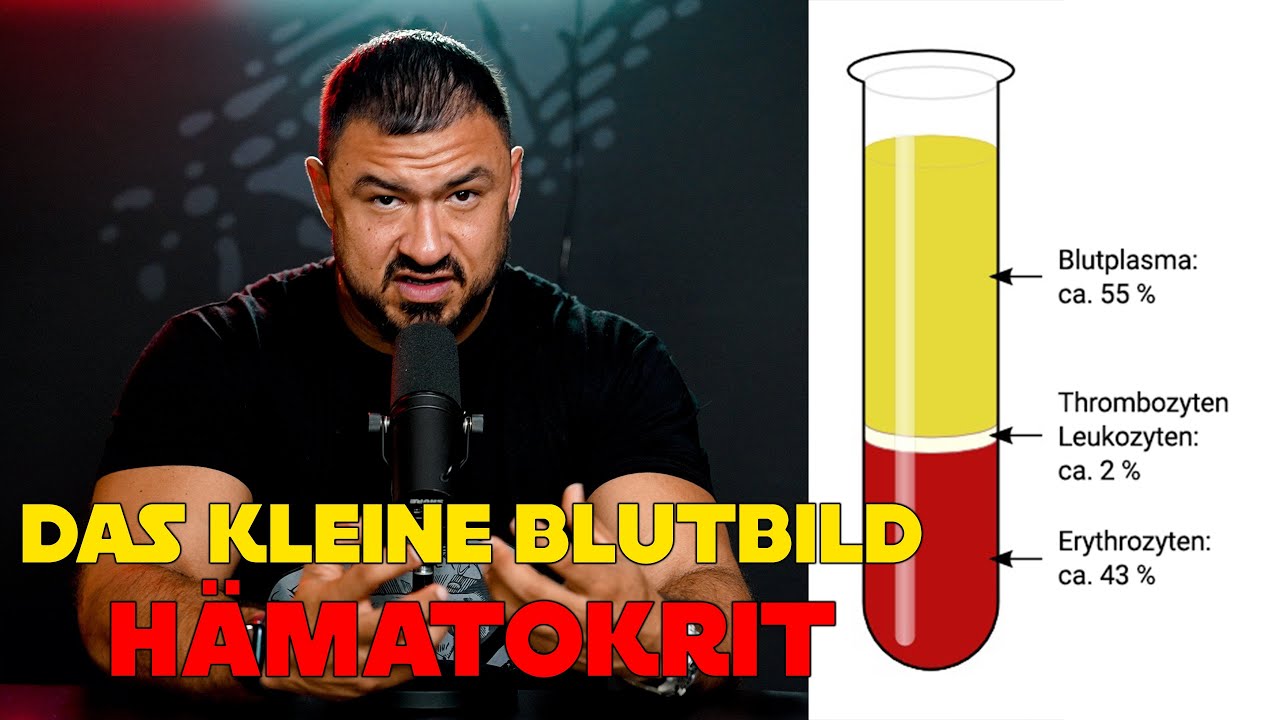 Wann ist dein Blut zu dick? Blutwerte f&uuml;r Stoffer