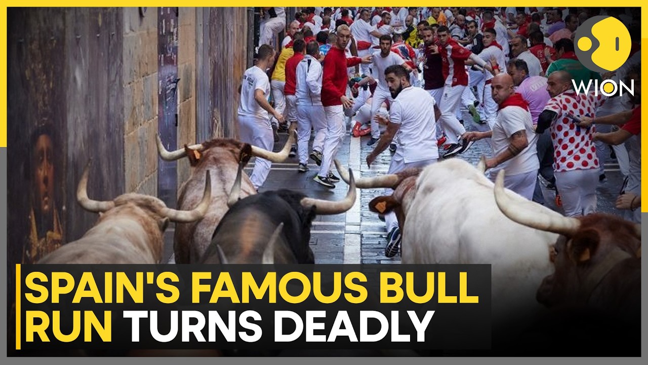 Spain Bull Run: Chaos in Spain as Pamplona Bull Run Leaves Many Injured | WION
