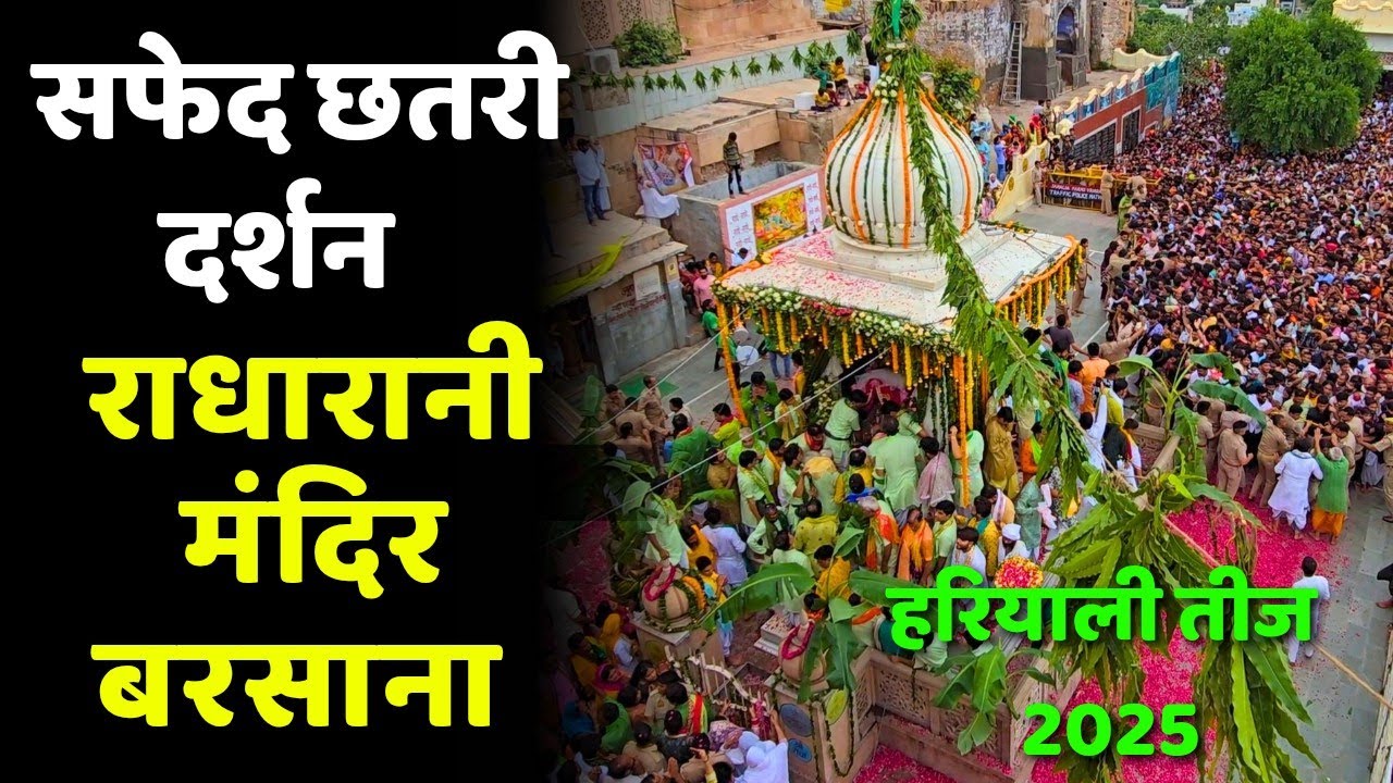 श्री राधारानी सफेद छतरी दर्शन | हरियाली तीज 2025 | राधारानी मंदिर बरसाना |