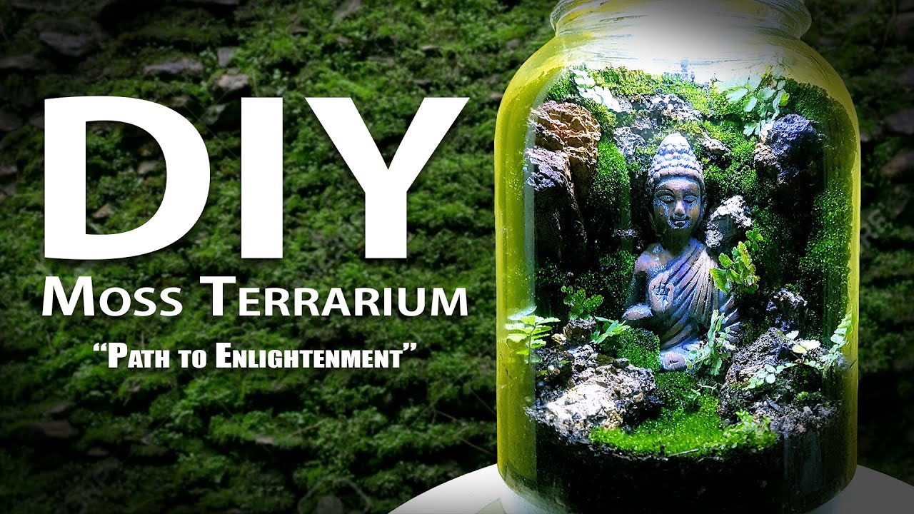 How to build a DIY Moss Terrarium!!! | Path to Enlightenment | Buddha Moss Terrarium | Terrascaping