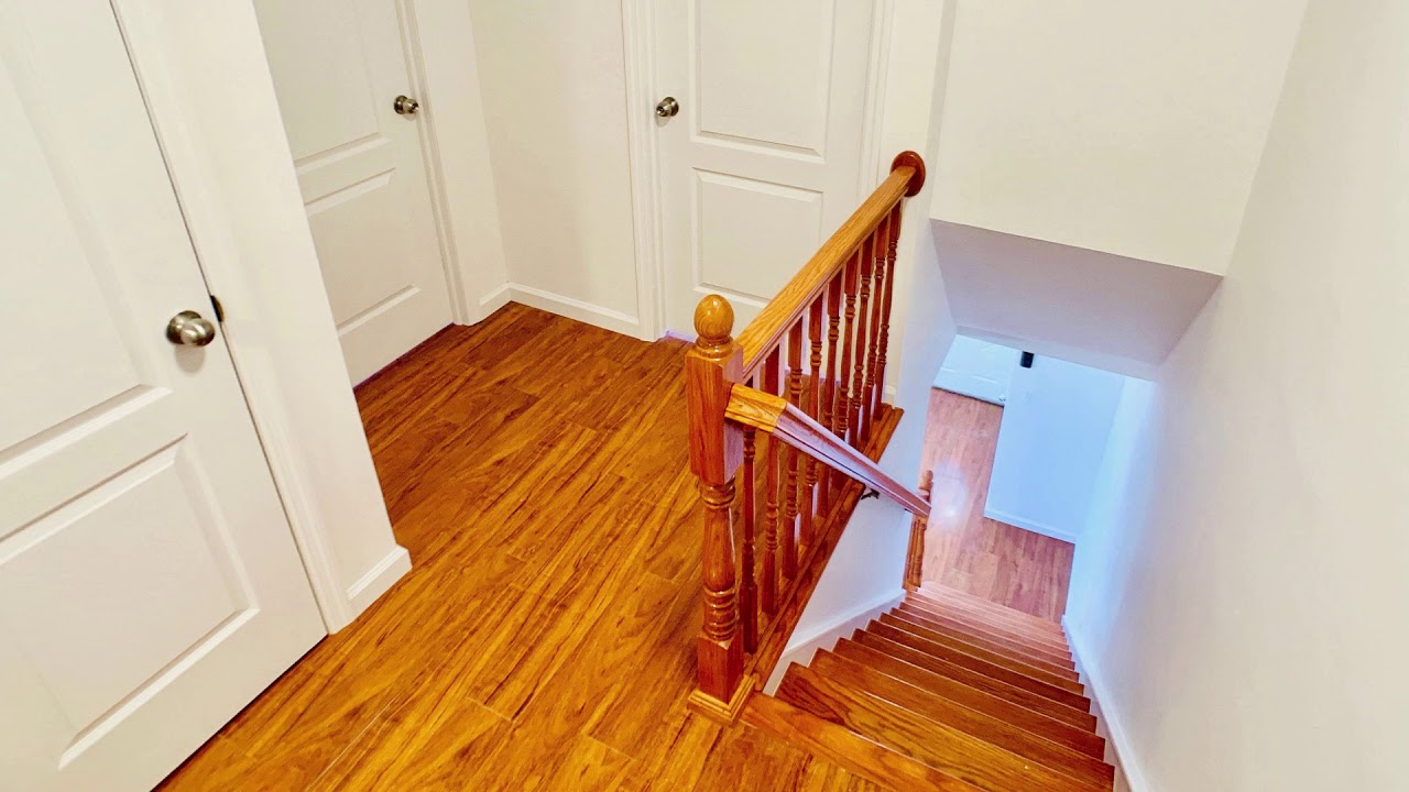 1531 Hammersley Ave Bronx New York