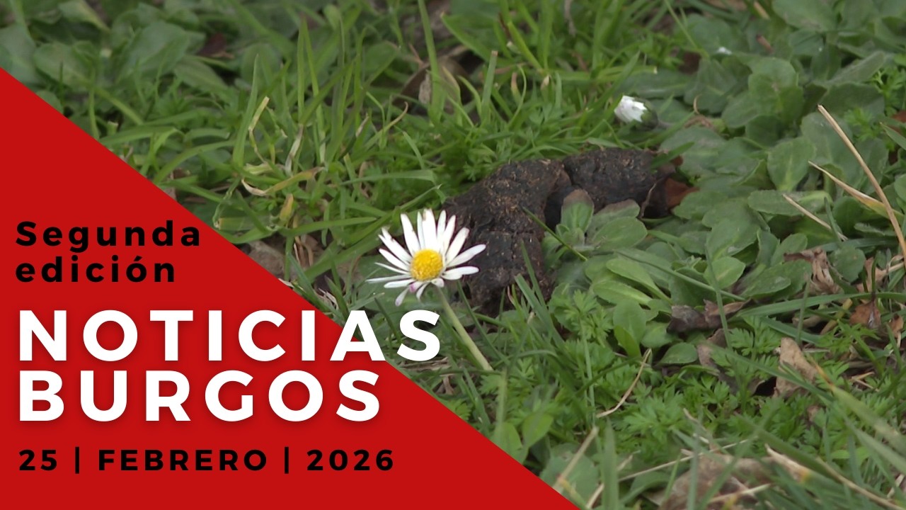 NOTICIAS 8 SEGUNDA EDICIÓN | 25 02 26