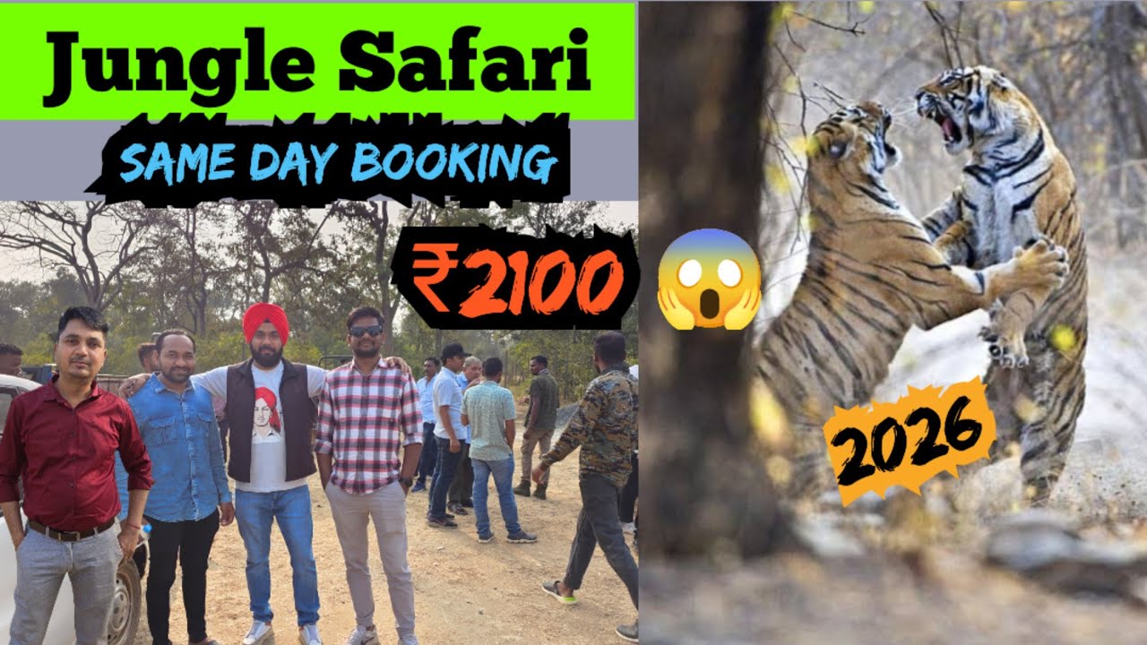 Karwa Jungle Safari 🐯 Jungle Safari Karwa 2026 | How to Book Karwa Safari 