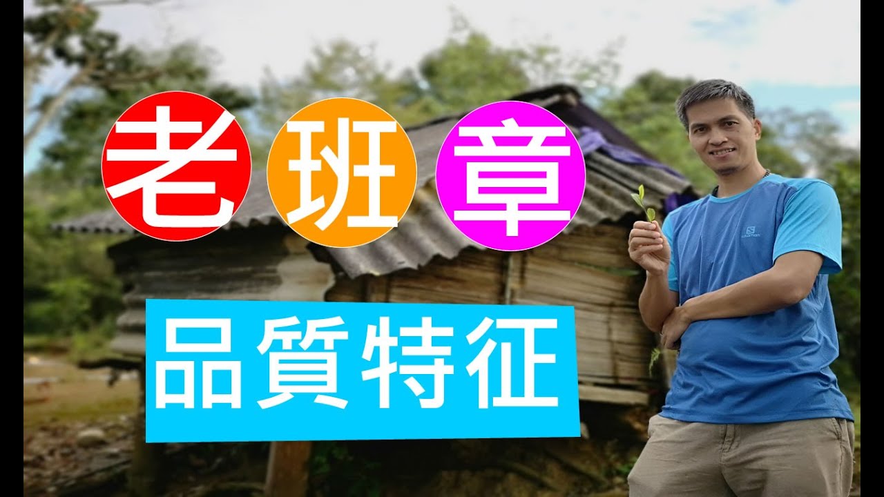 記住老班章普洱茶的品質特征，減少一些上當的機會！