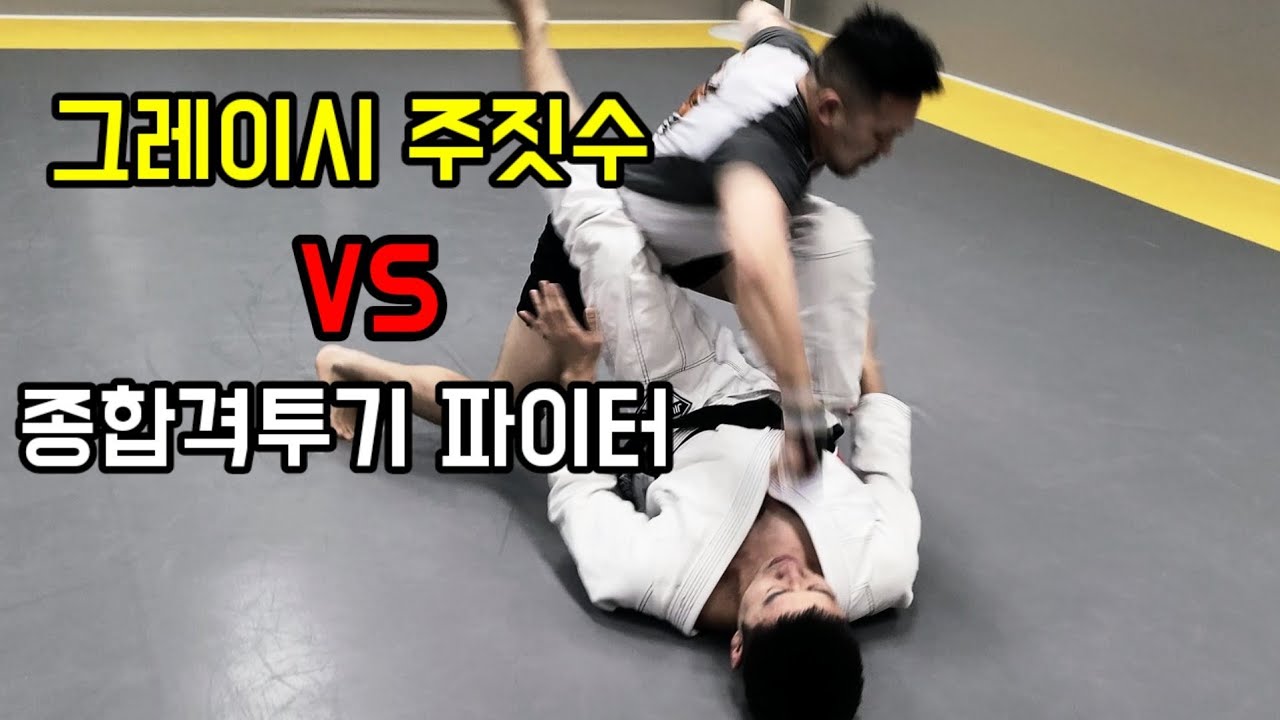그레이시 주짓수 블랙벨트 vs 종합격투기 (파운딩 가능)