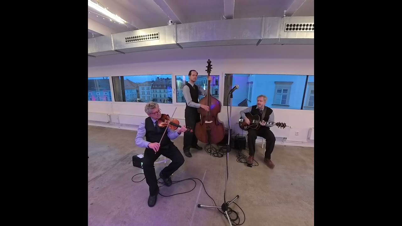 Swing Session Trio - I've Got a Feelin' I'm Fallin'