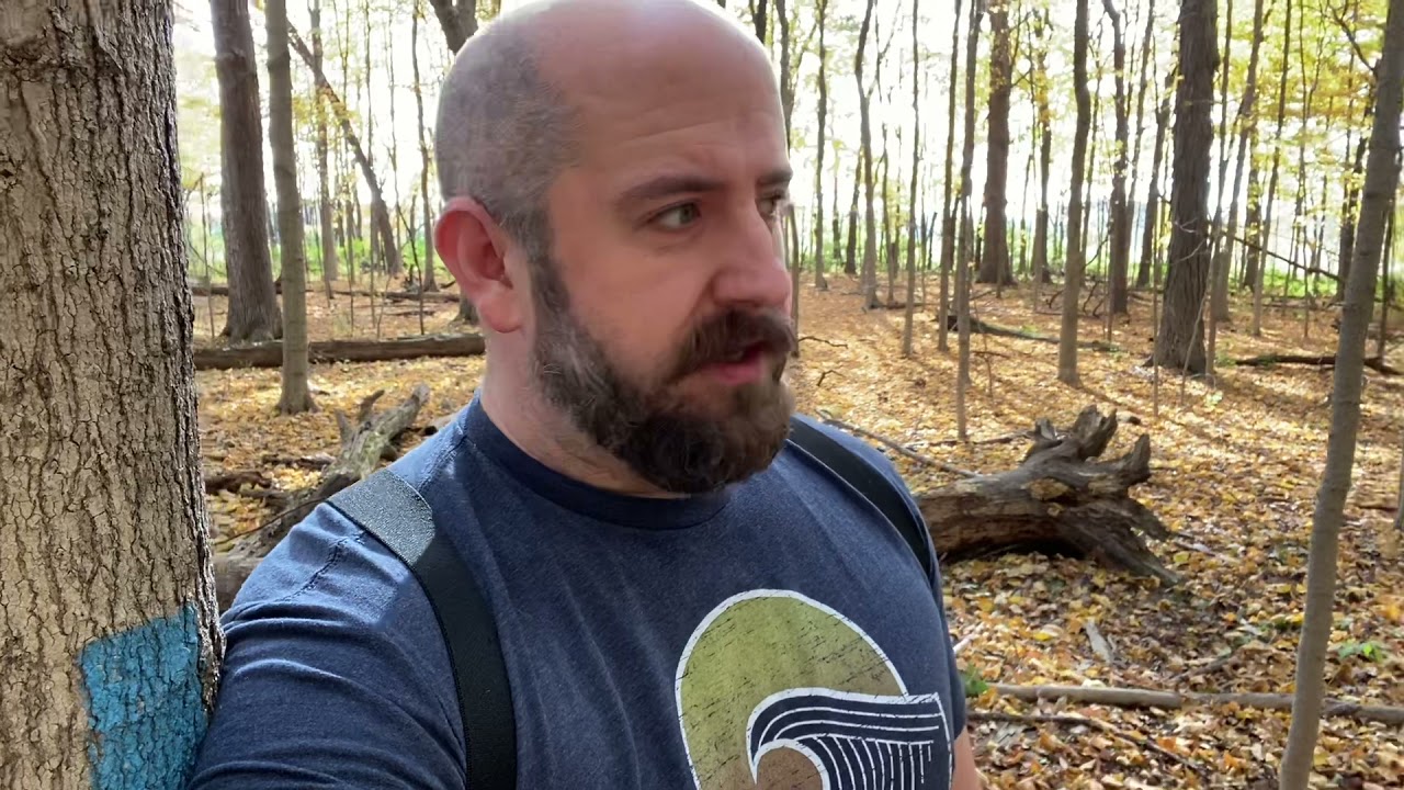 Nature as a Treatment for Depression