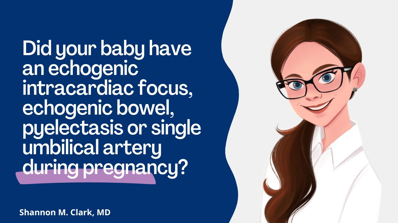 Echogenic intracardiac focus or bowel, pyelectasis or single umbilical artery during pregnancy