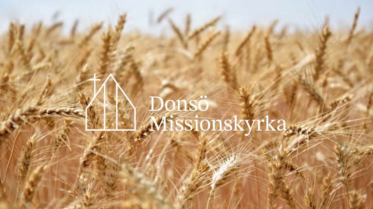 6 December | Drömmen om Jul