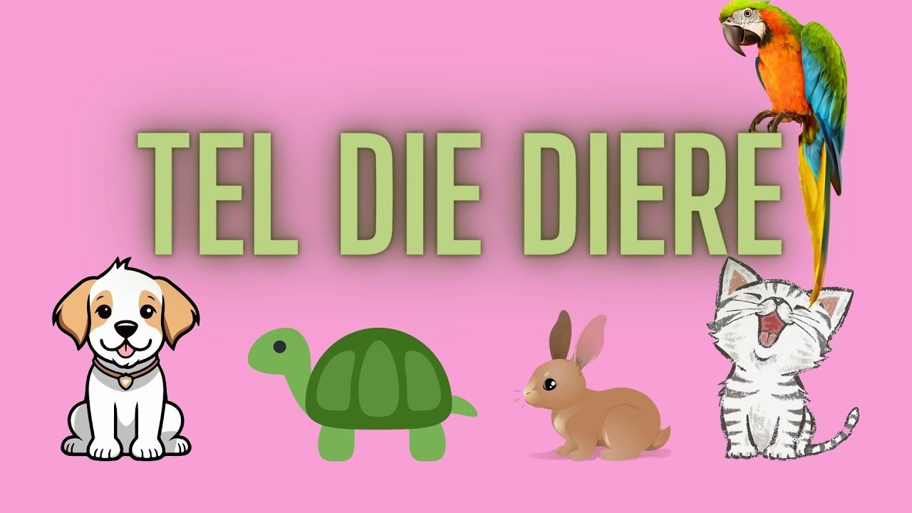 Afrikaans - Tel die diere