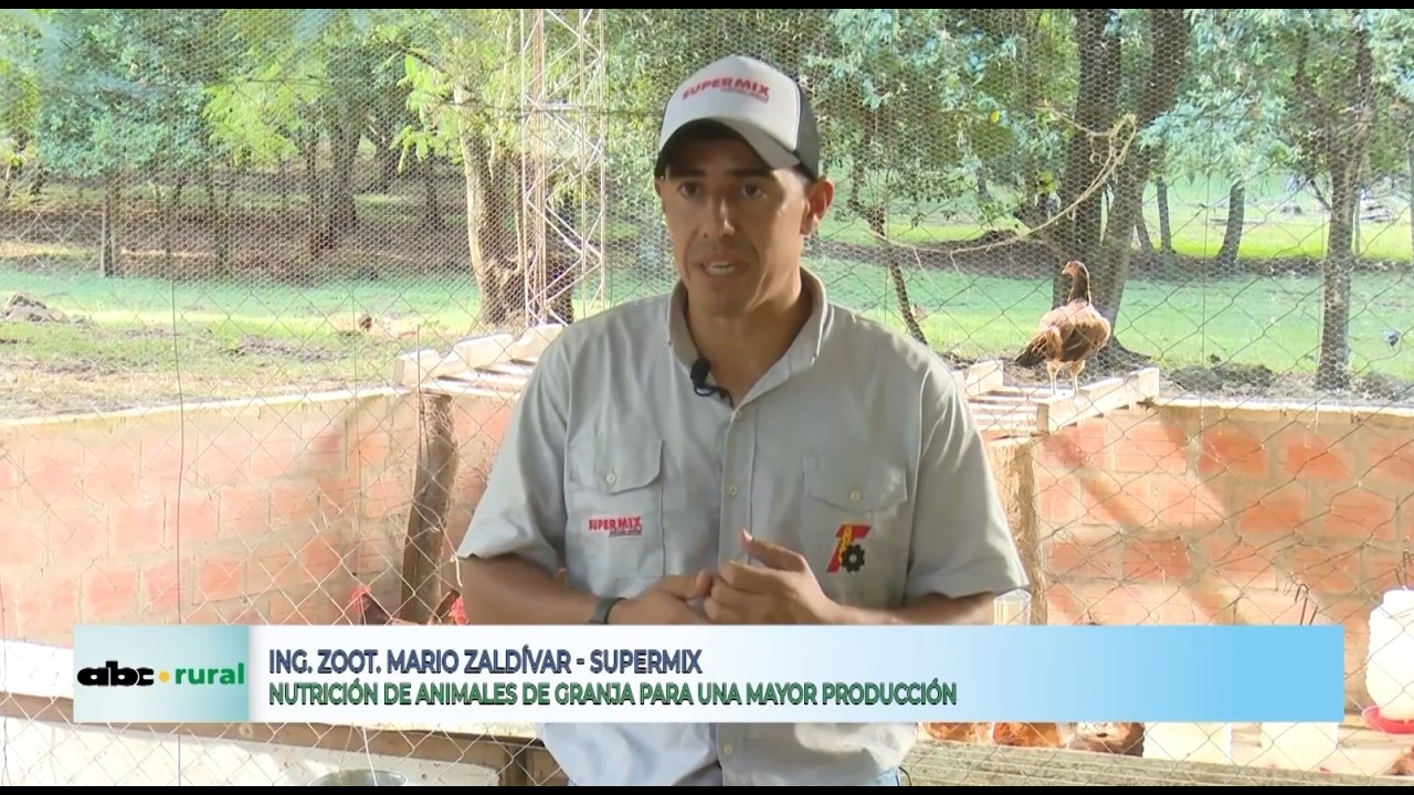 Nutrición de animales de granja con balanceados Supermix