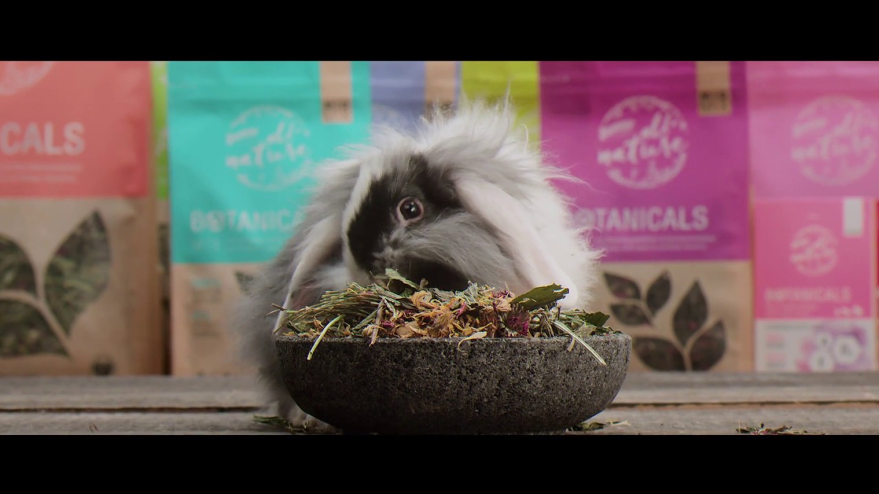 bunnyNature &raquo;all nature BOTANICALS&laquo;