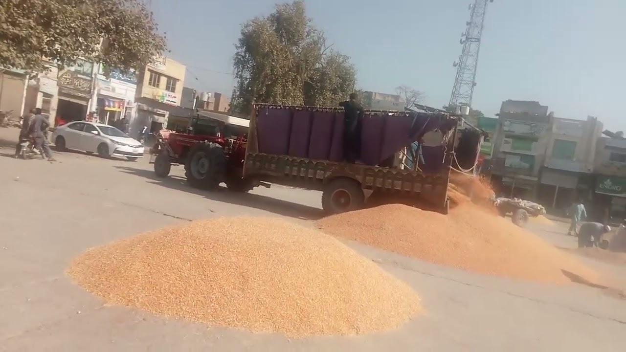 Pakpattan galla Mandi 3500 rate