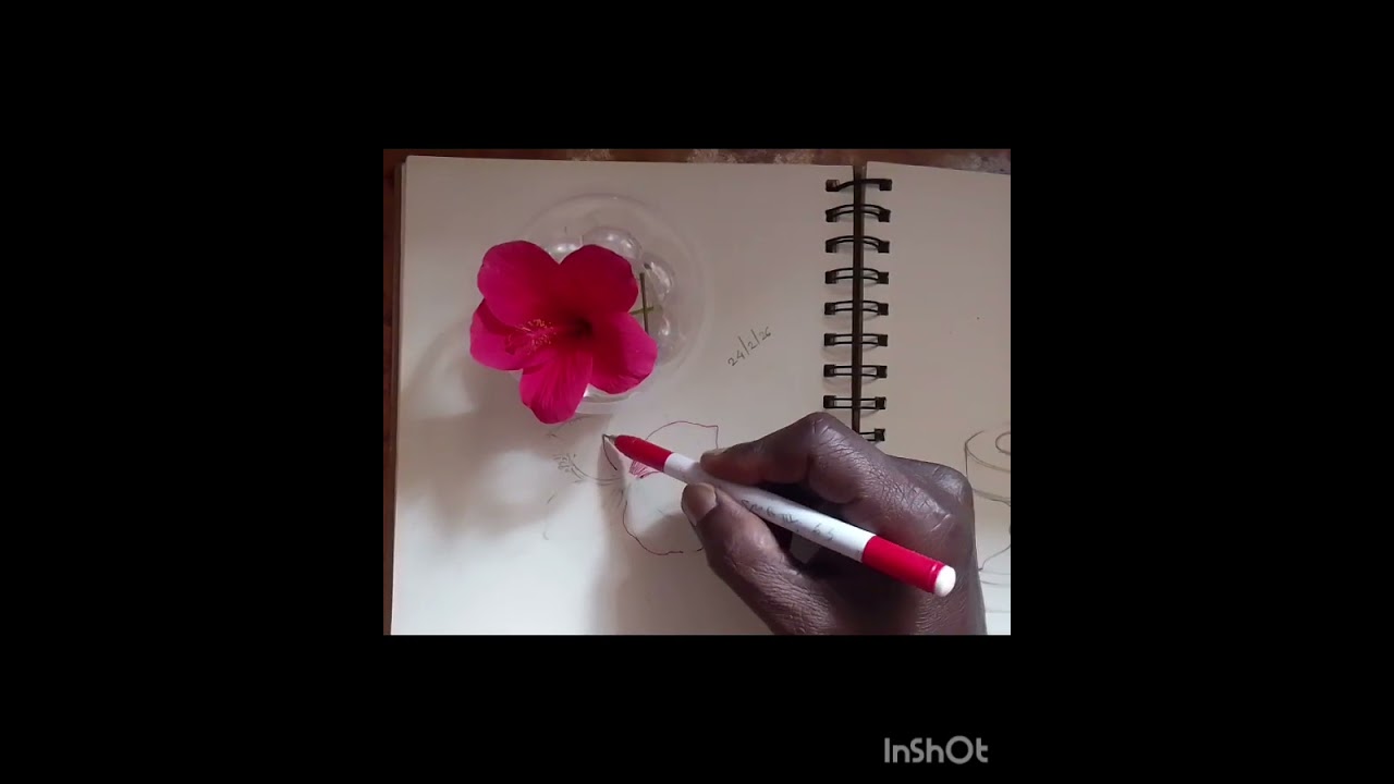 Simple Drawings for beginers.