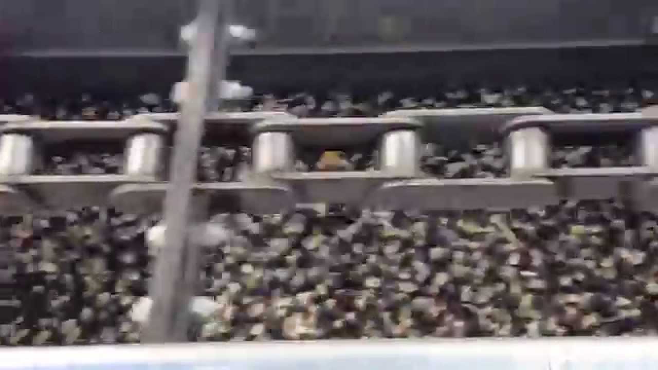 Chief Chain Conveyor in Motion