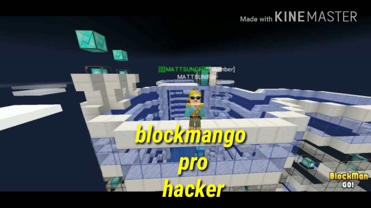 Blockmangopro hacker