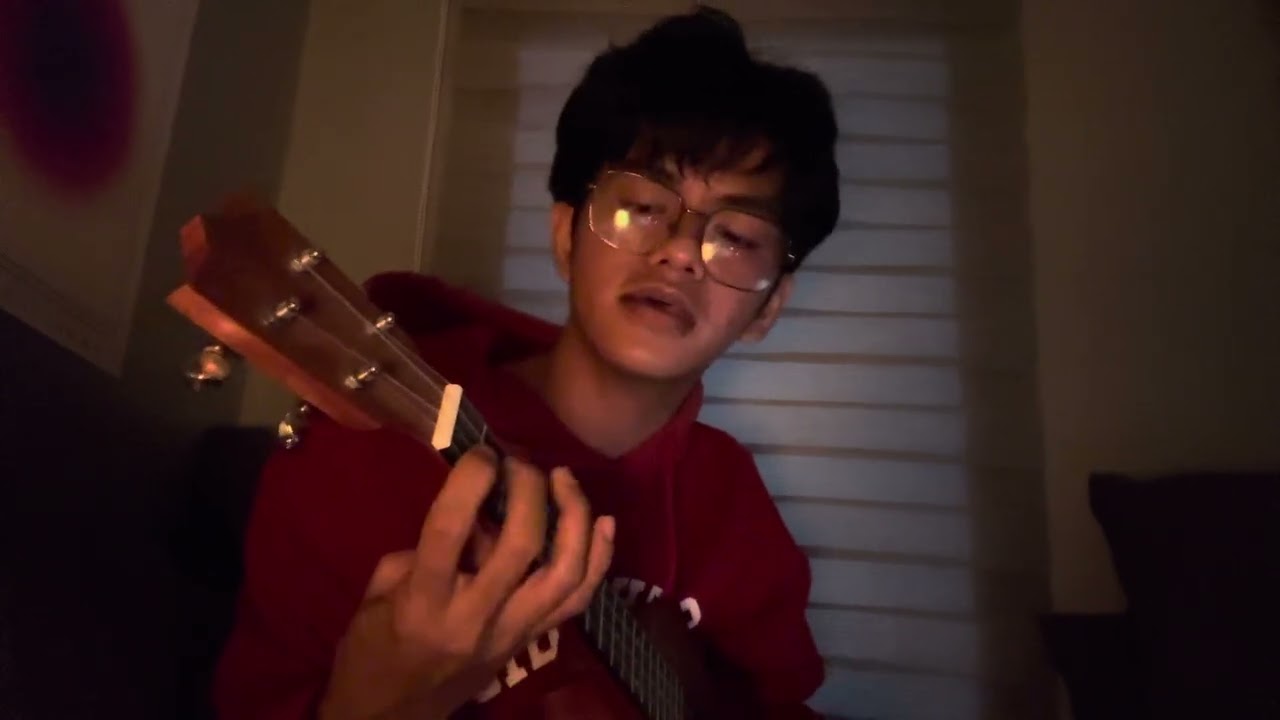 i love you so - the walters | song cover ft. my ukulele
