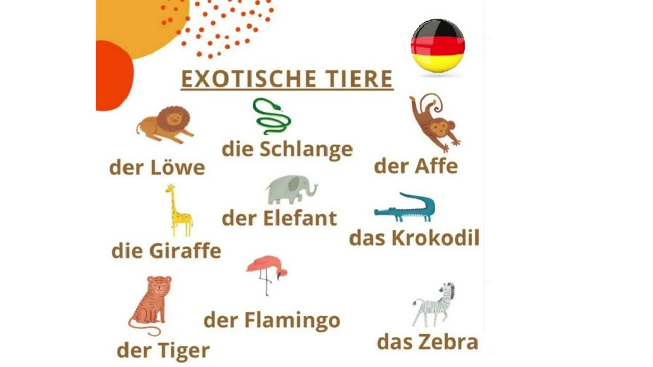 Exotischetiere
