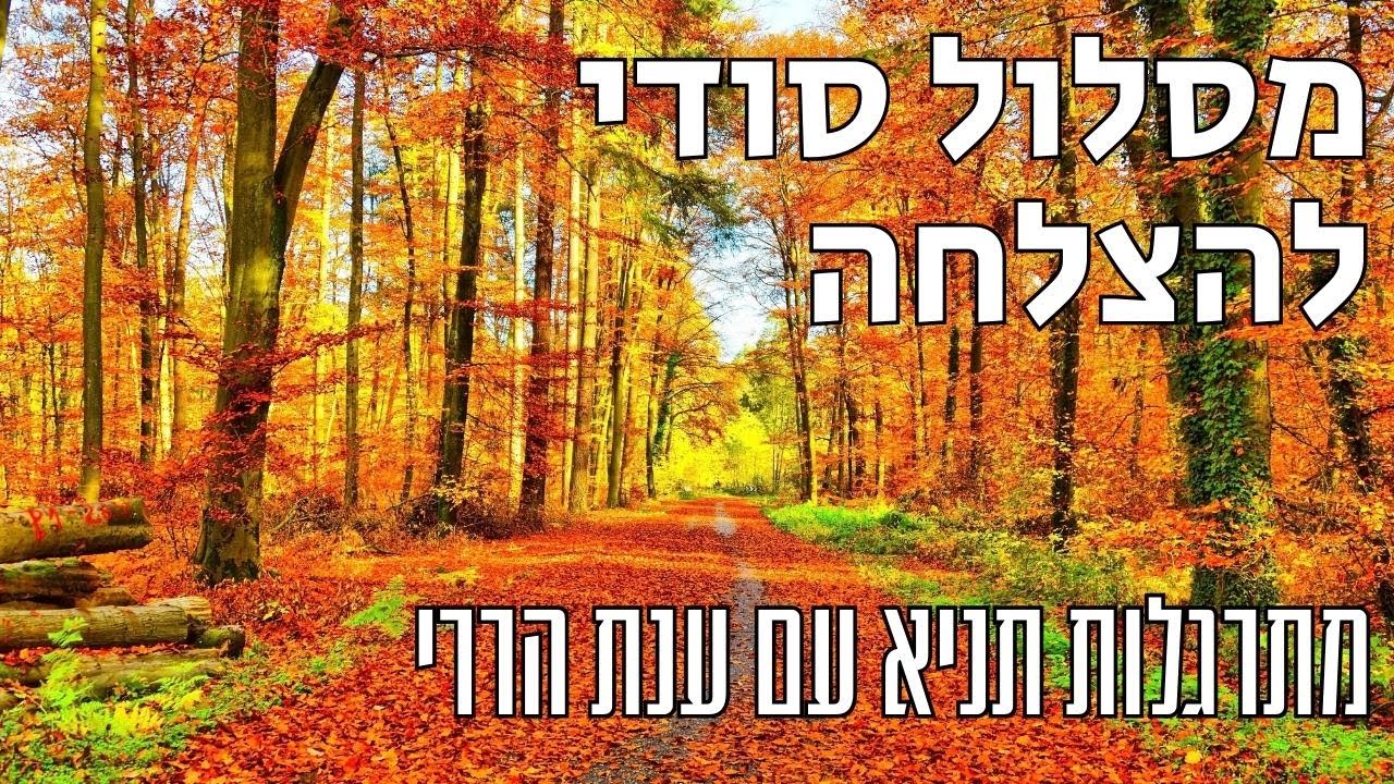 מסלול סודי להצלחה | מתרגלות תניא 33 - ענת הררי