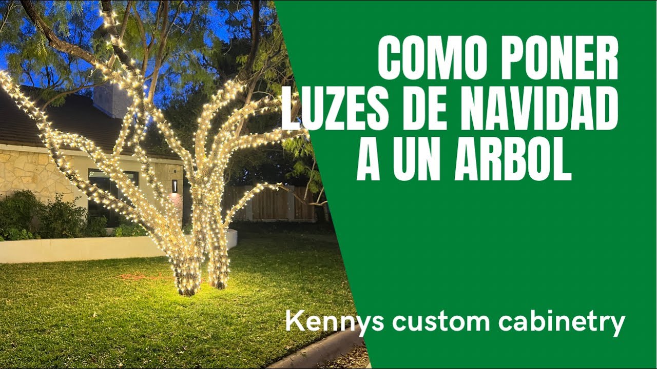 Como poner luzes de navidad a un árbol