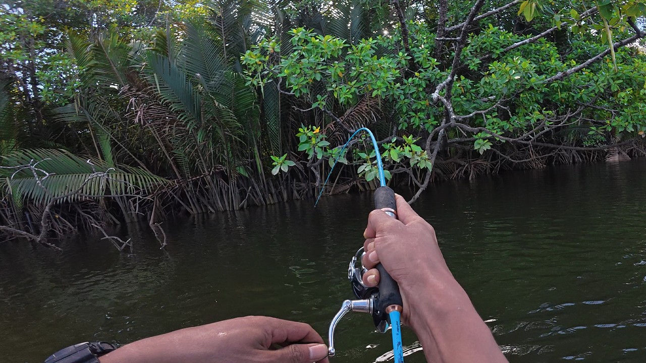 Baru kali ini mancing bisa dapat kakap tumpil sebanyak ini