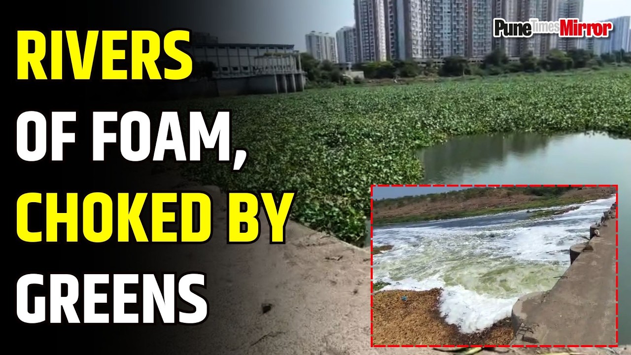 Rivers of Foam, Choked by Greens: Pune's Silent Water Crisis