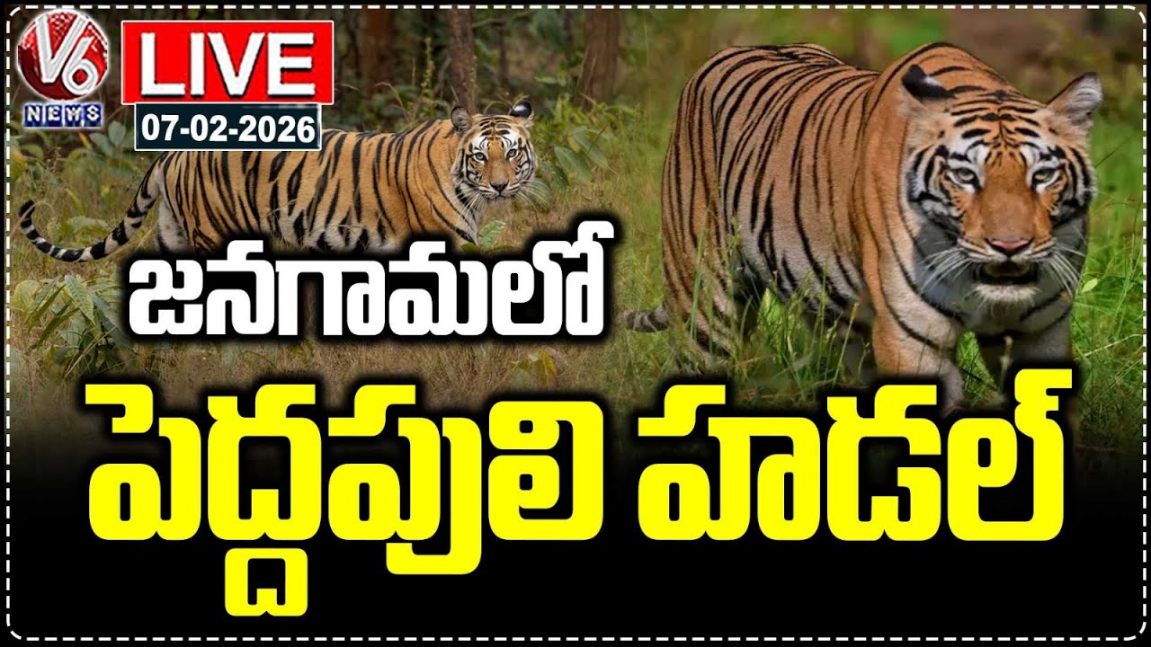 LIVE : Tiger Tension In Jangaon, Public In Panic | V6 News