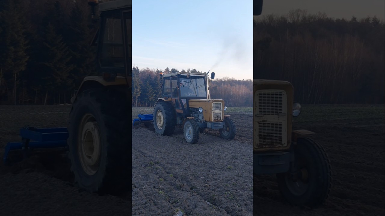 pług dłutowy m pirat 🚜ursusc360 🔥#oporowocałodobowo #mowynabytek