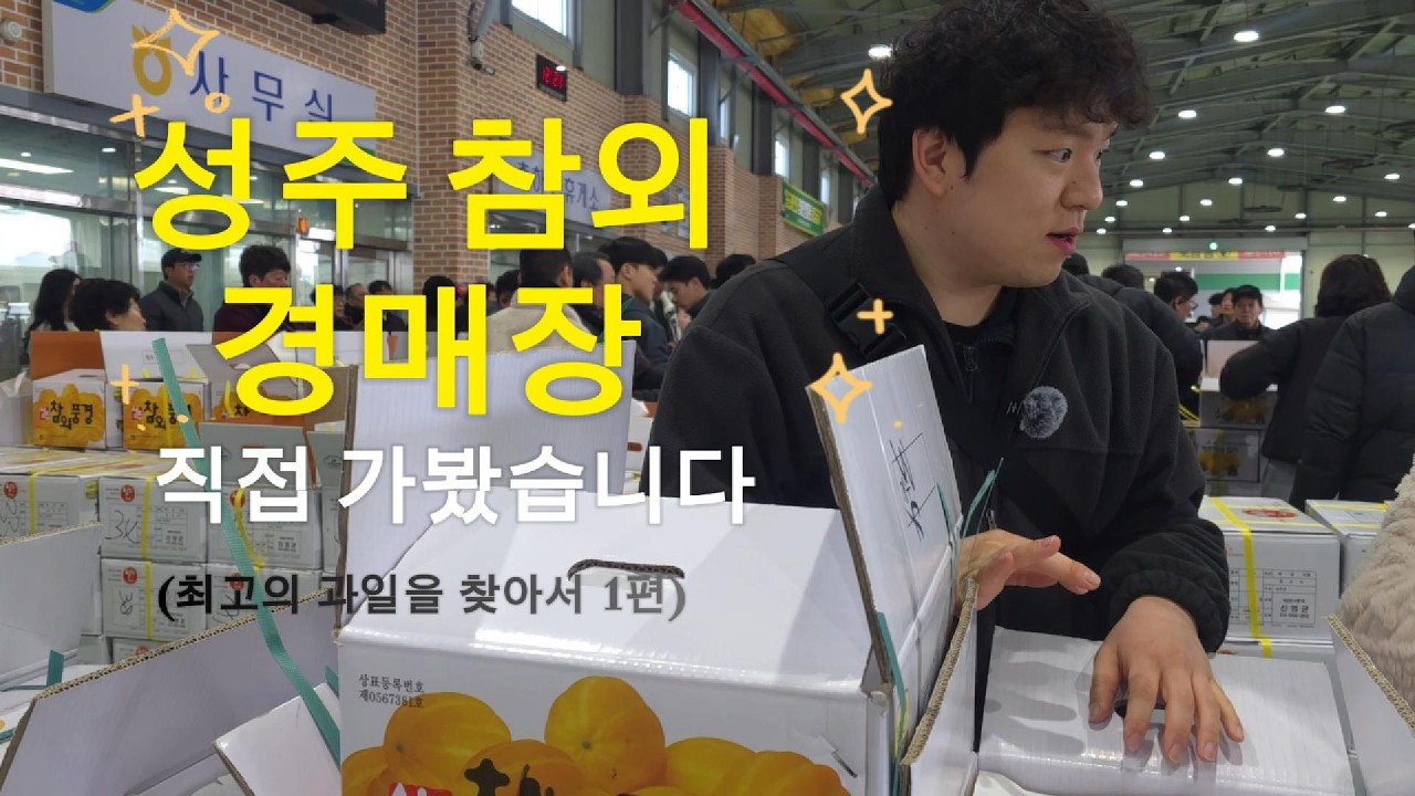 성주 참외 보러 가실까요?
