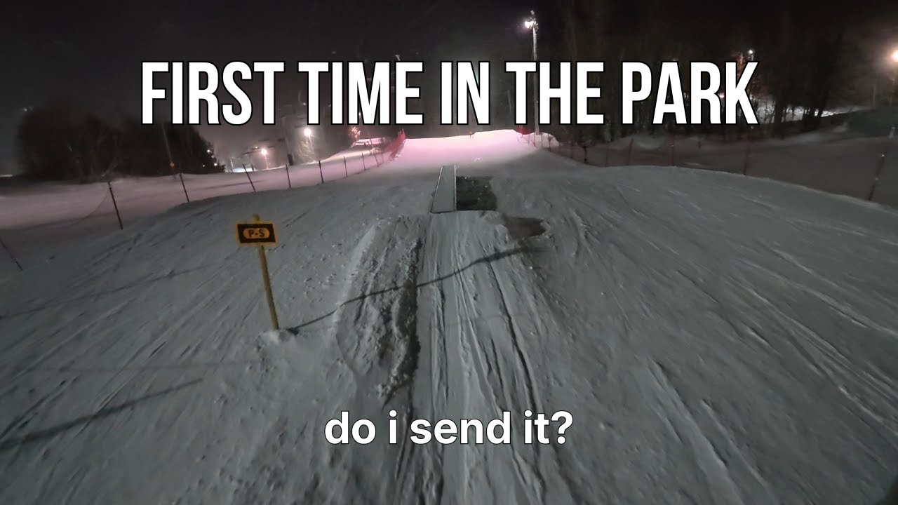 POV: edelweiss park night with the homies