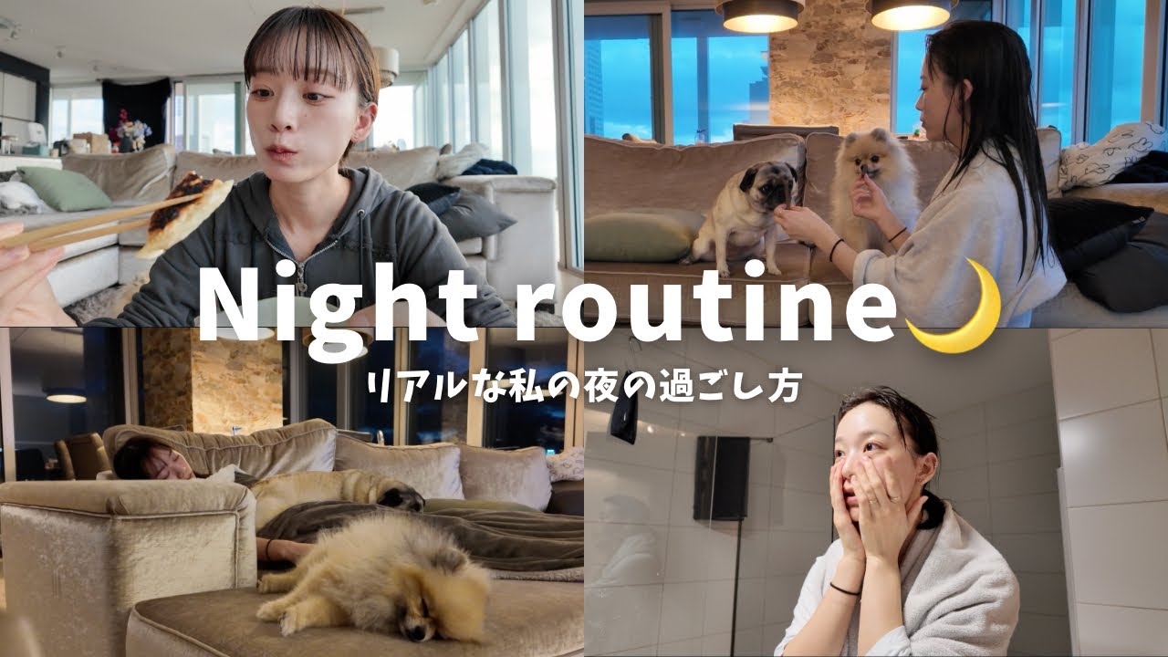 【ナイトルーティン】リアルな私の夜に密着withぱてぽて🐶