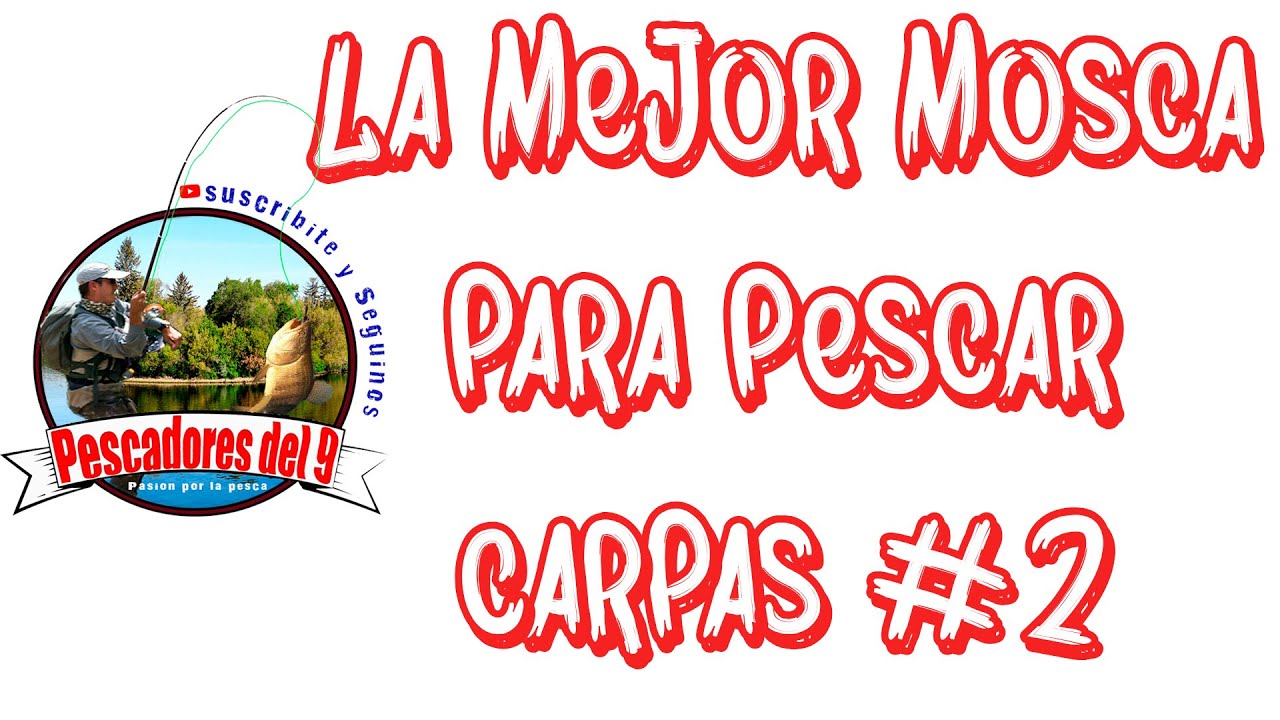 La Mejor Mosca para Pescar Carpas