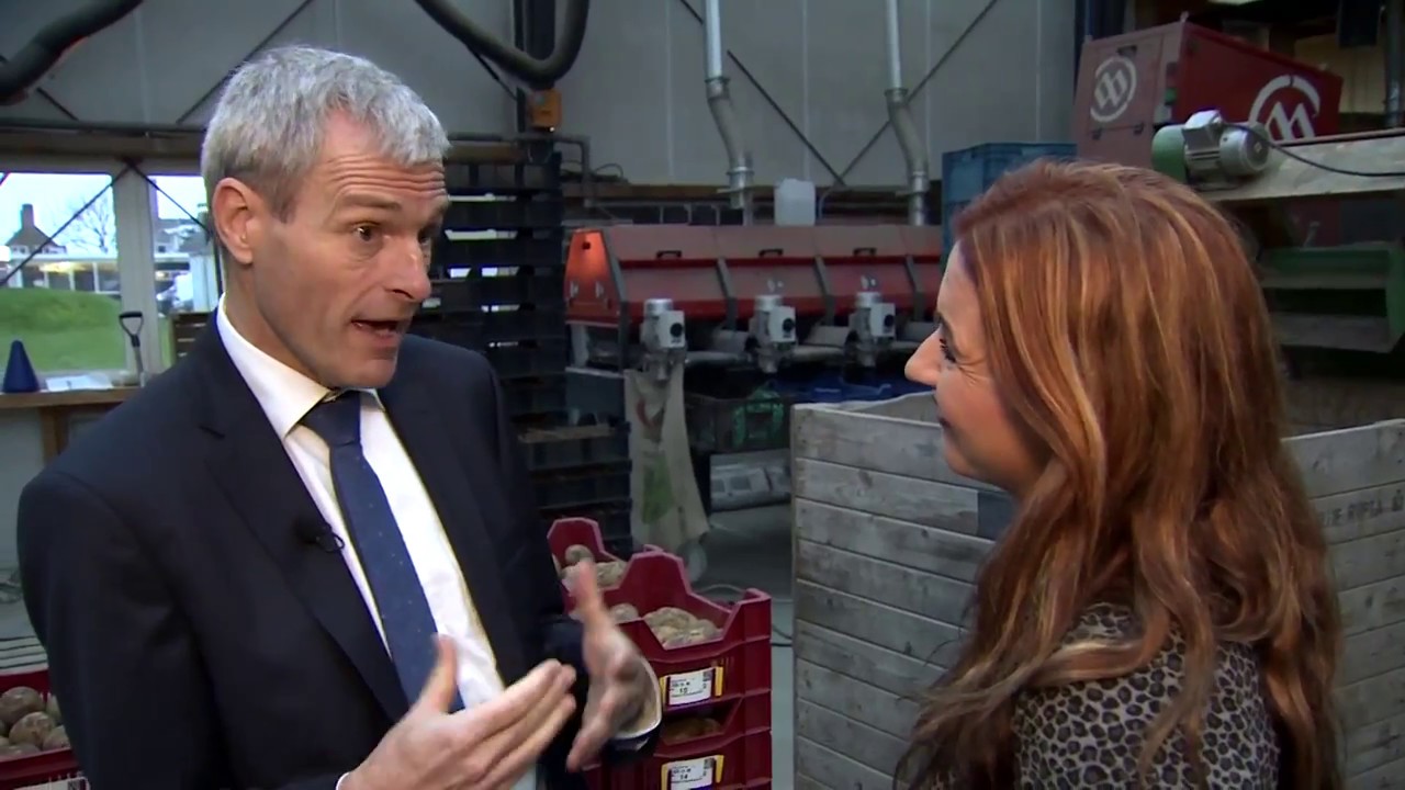 HZPC bij RTL 7 in De Succesfactor