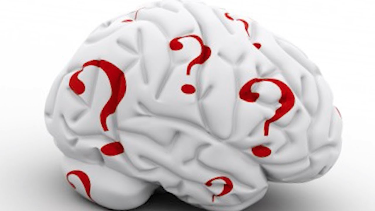 Does IQ Predict Achievement? - Best of the Blogs #4