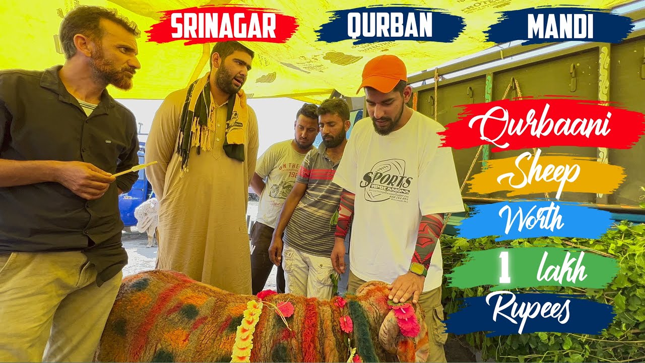 In Eidgah Srinagar 1-Lakh Rupay Ka Qurbani Sheep 😨😱