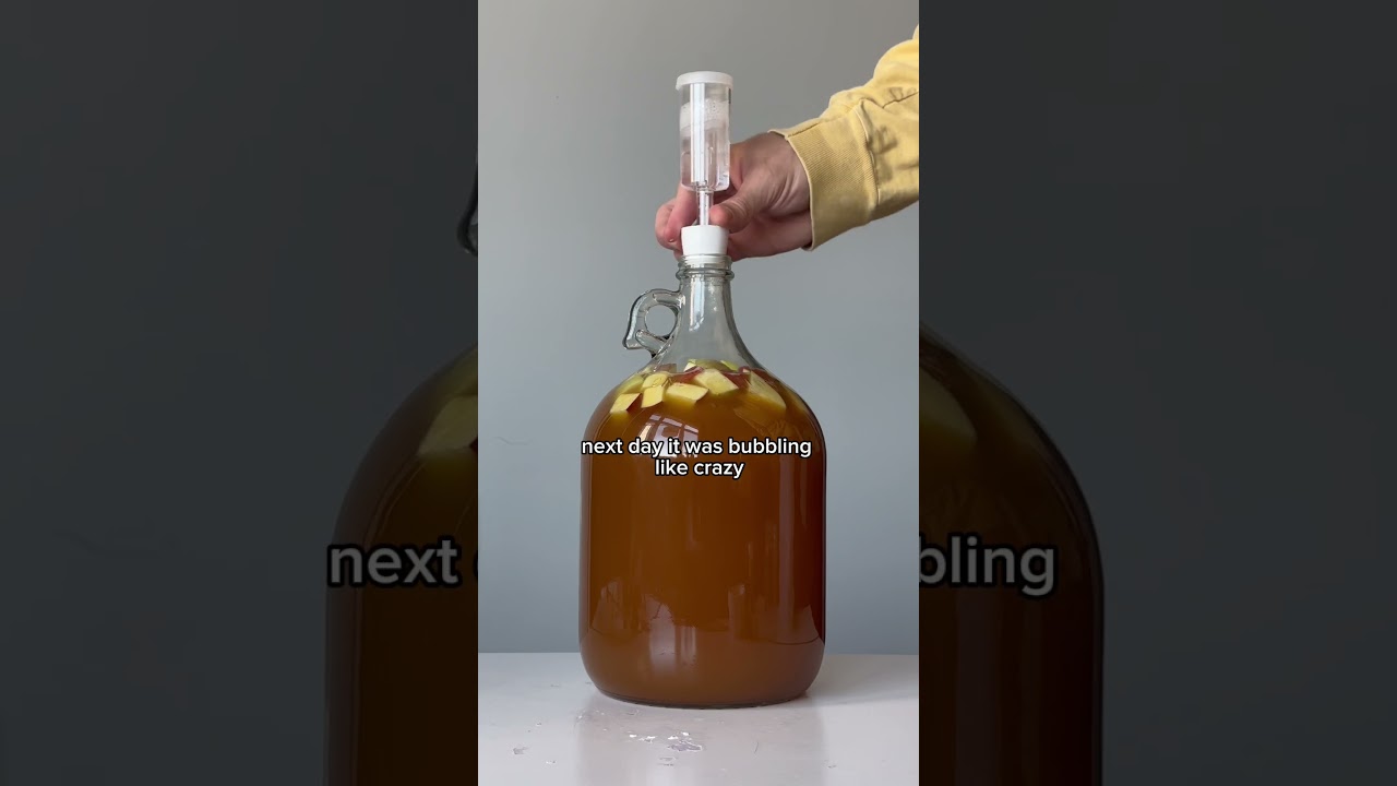 HOW TO MAKE APPLE SPICE MEAD START TO FINISH