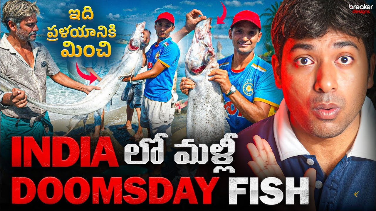 🐟 The DOOMSDAY FISH is NOT a MYTH! The TERRIFYING Science Behind the Oarfish | VR Raja 